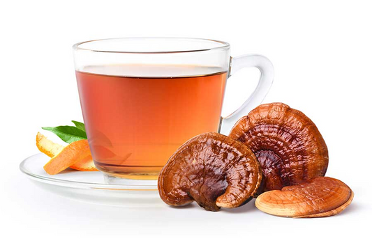 Benefits of Reishi Tea